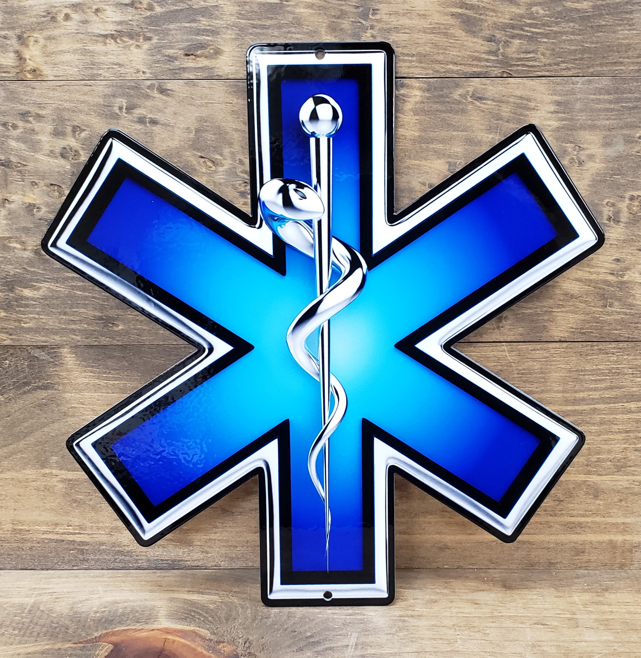 Ems Logo Steel Sign | Garage Art™