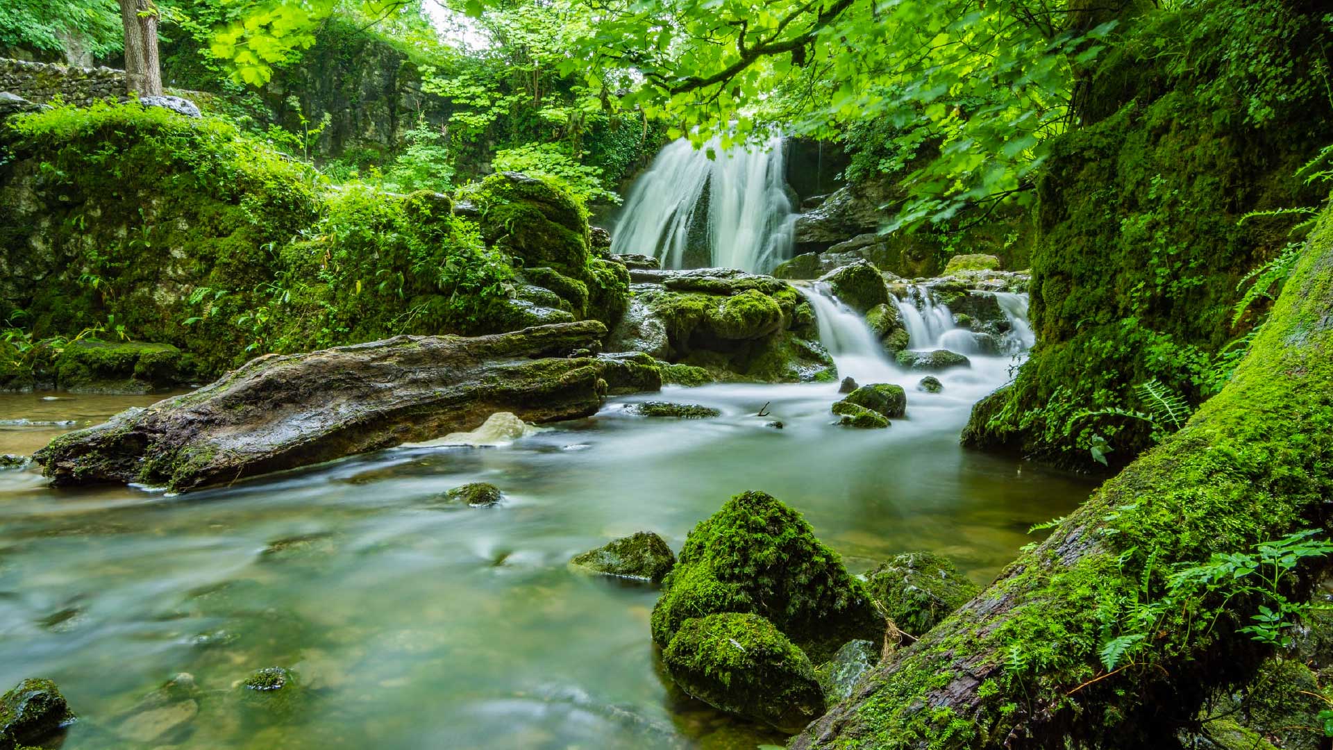 Rights of Nature and Climate Leaders: Road towards COP16-Colombia and COP30-Brazil - Global ...