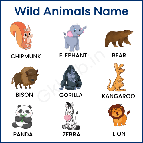 Domestic Animals Pictures With Names