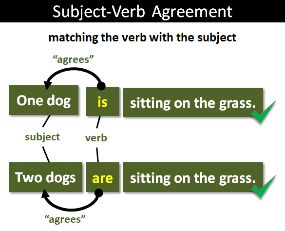 Subject-Verb Agreement