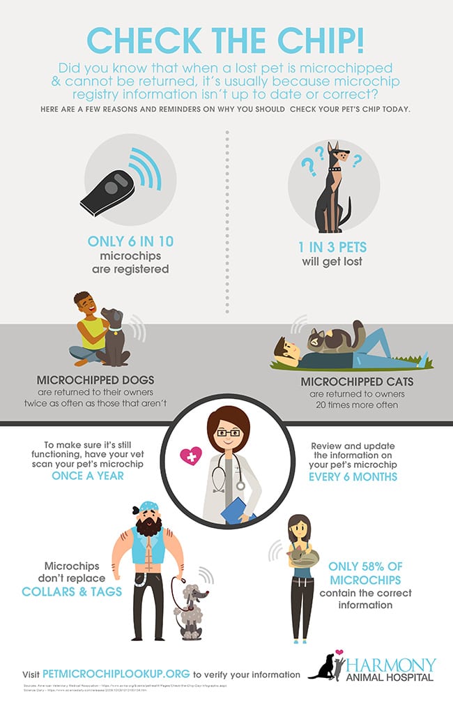 Microchipping for Pets Keeps Your Furbabies Safe