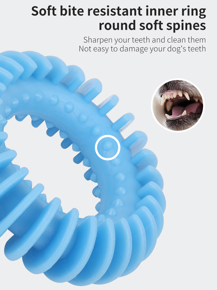 Pet Molar Toy Collar