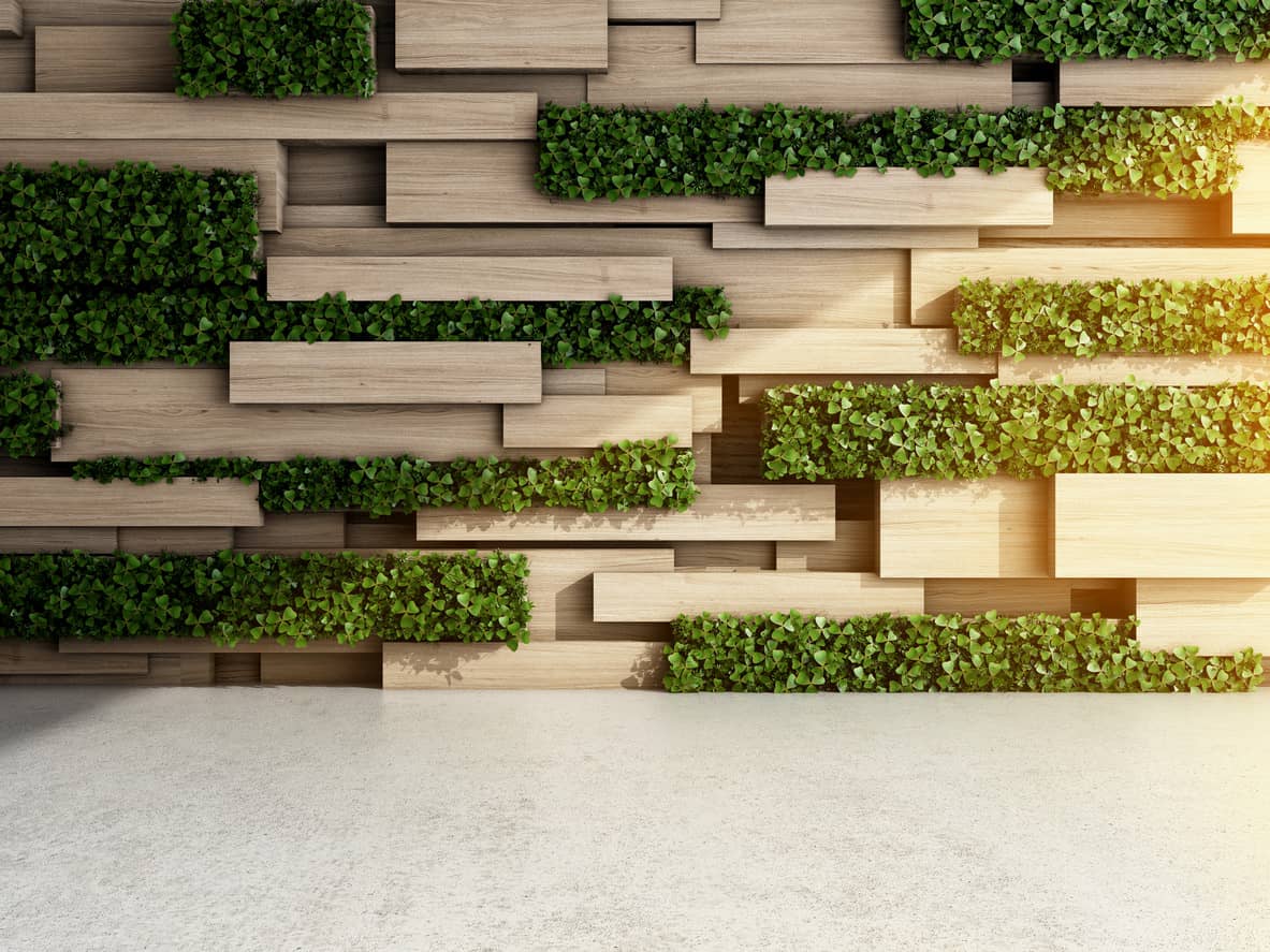 Interior Design Ideas Green Walls