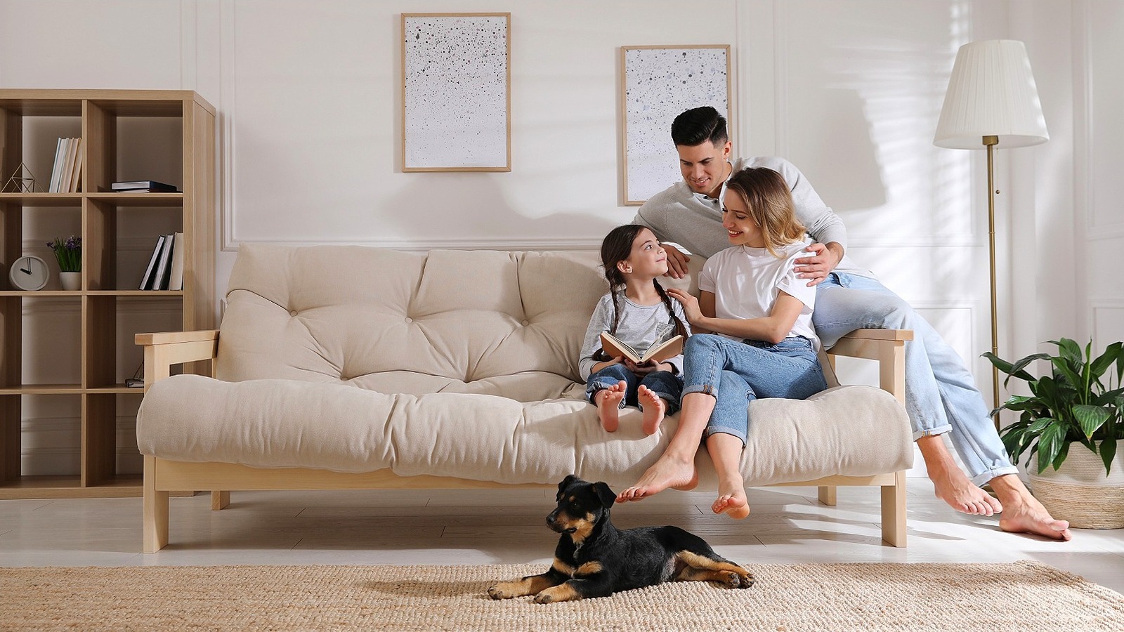 20 Sofas To Revive Your Living Room - House Digest - TrendRadars