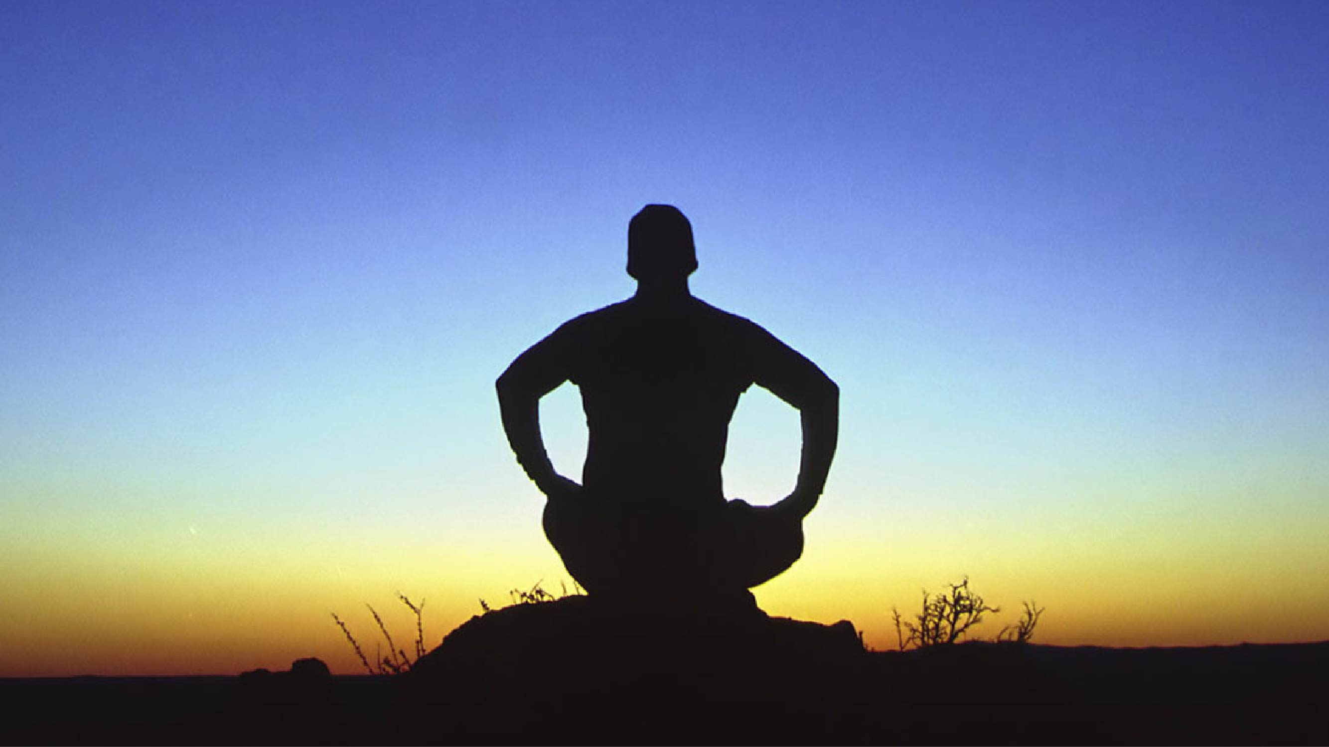 The Search For Well-Being — Humankind On Public Radio