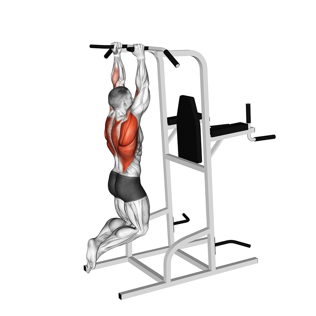 Neutral Grip Pull Up: Benefits, Muscles Worked, And More - Inspire US