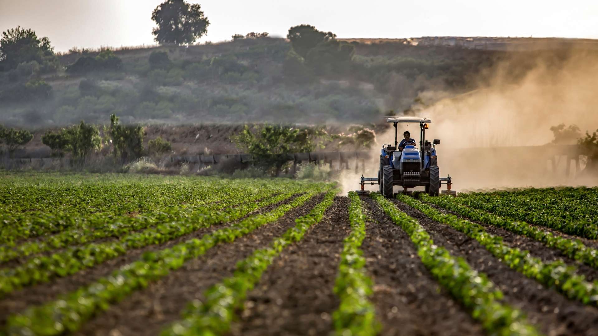The Future Of Agriculture - Invest4land. Investing In Agricultural Farmlands.