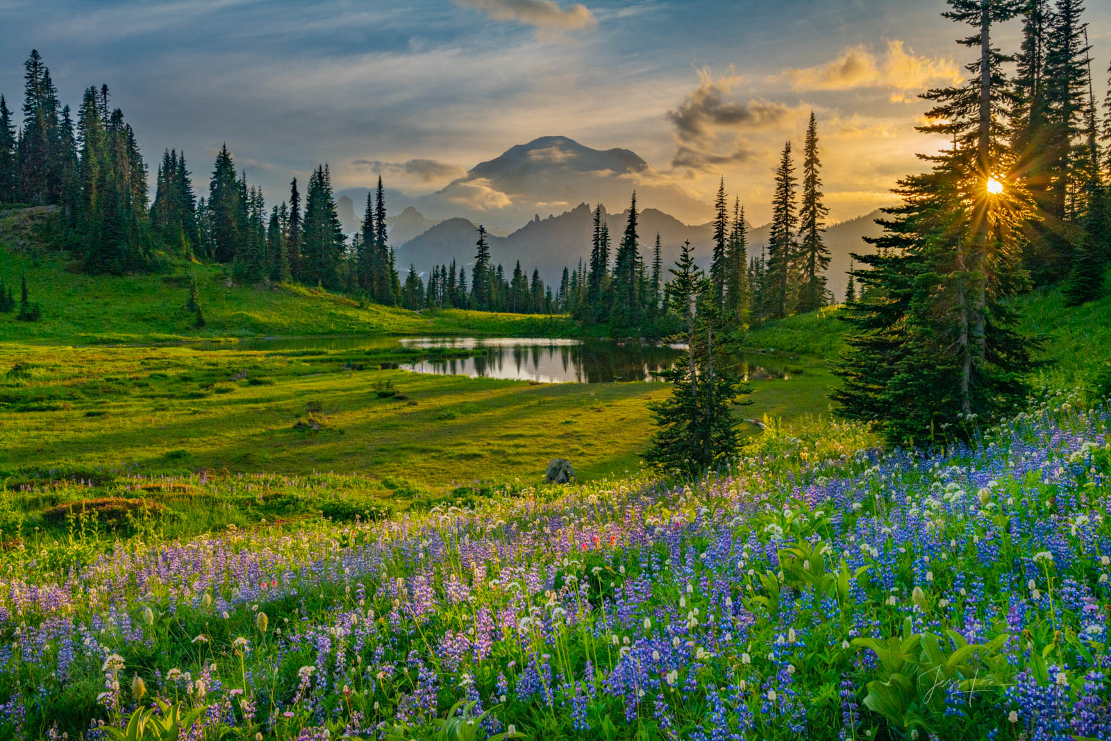 Landscape Pictures Of Nature