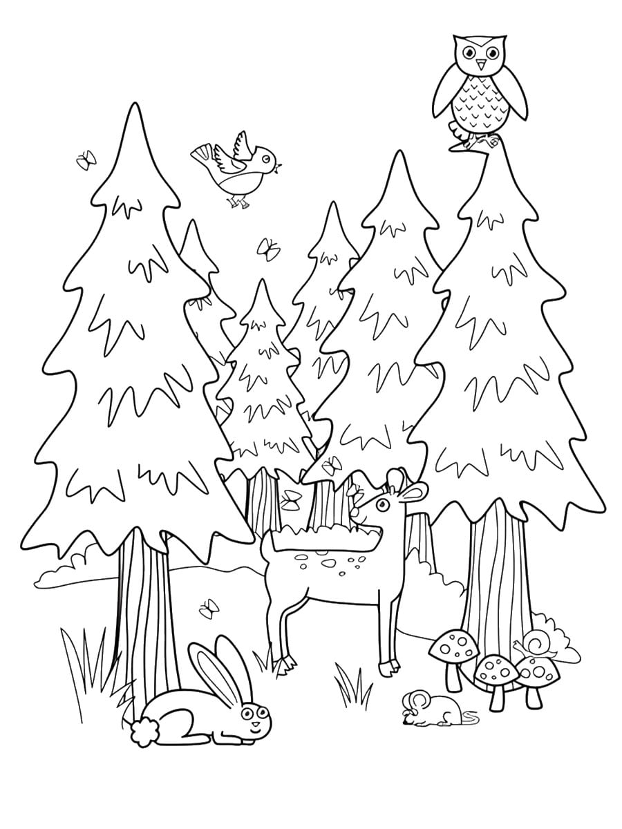 Coloriage Forêt : 15 Dessins à Imprimer