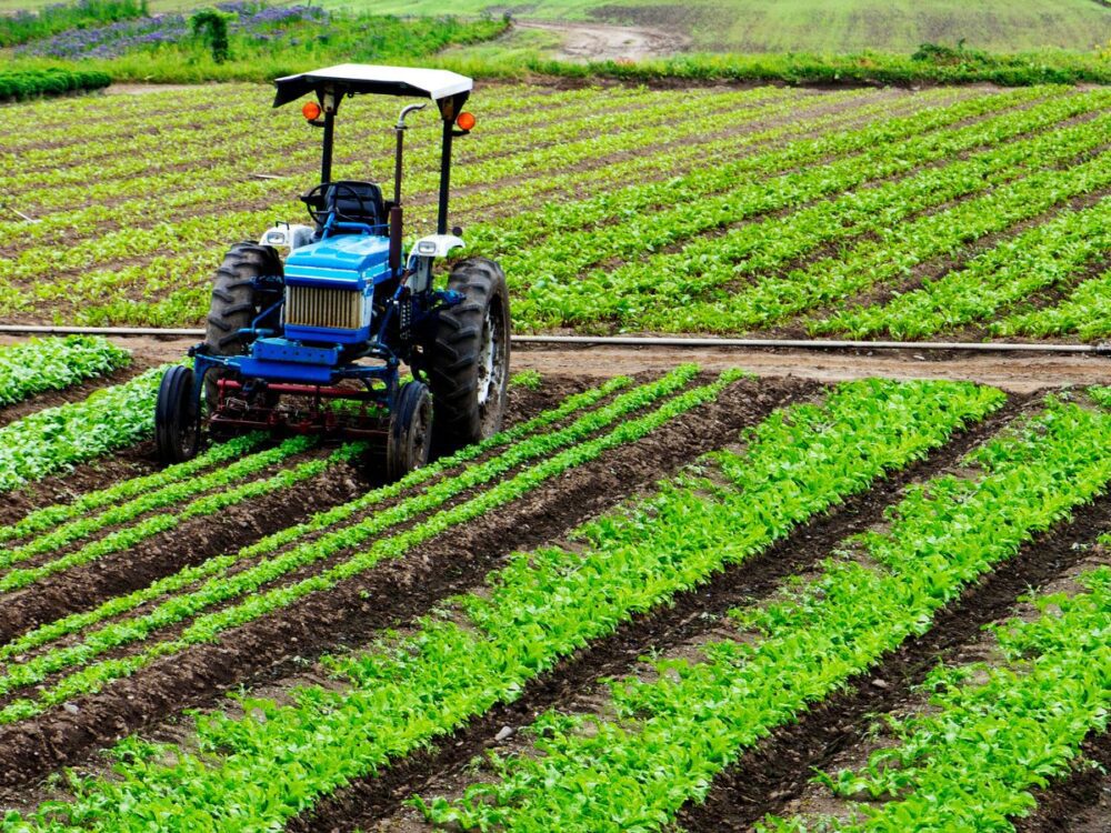 Growth And Opportunities In India&#39;s Agriculture Sector - Jharkhand Rai University (JRU), Ranchi