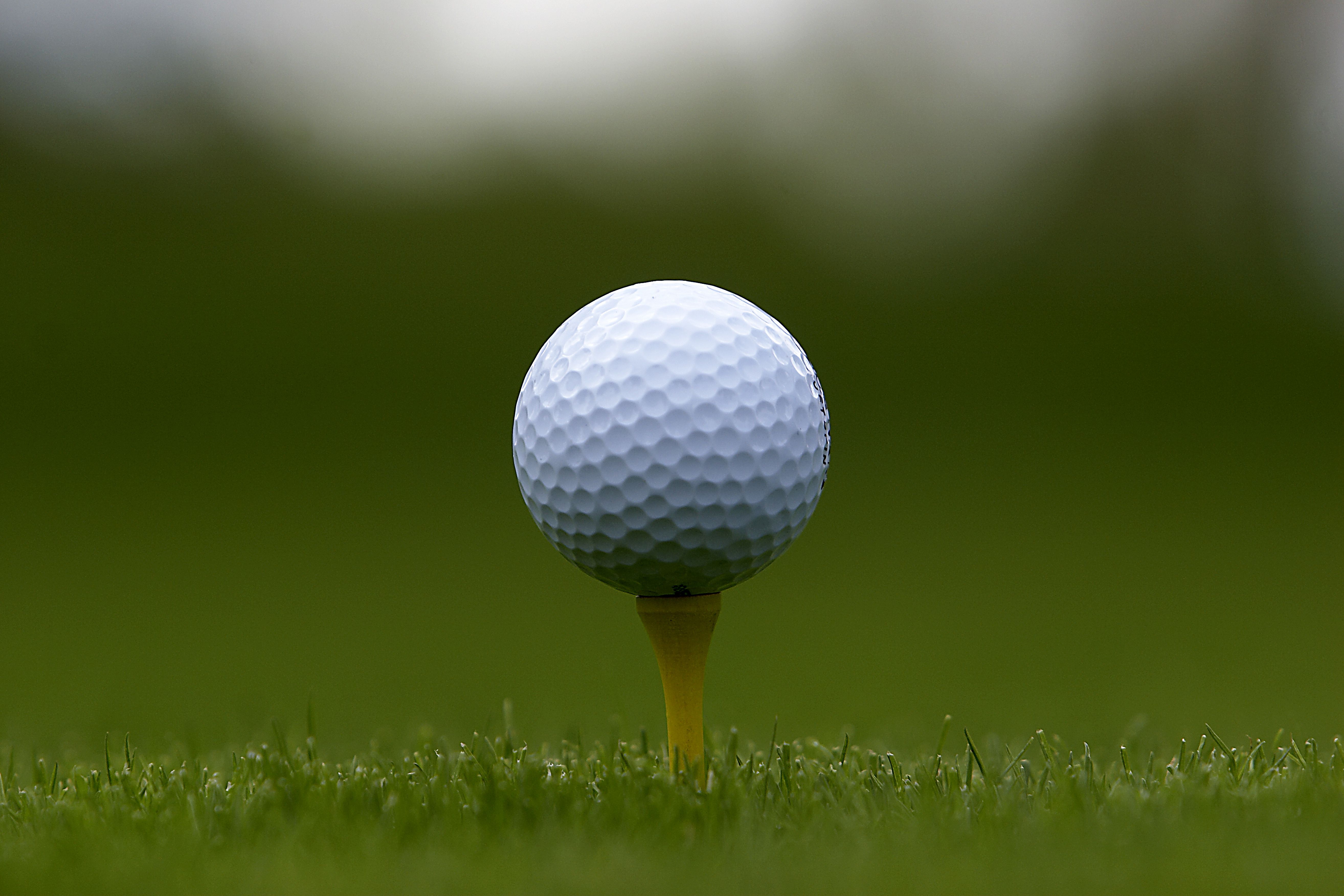 Golf Tee: The Basics Of The Tool