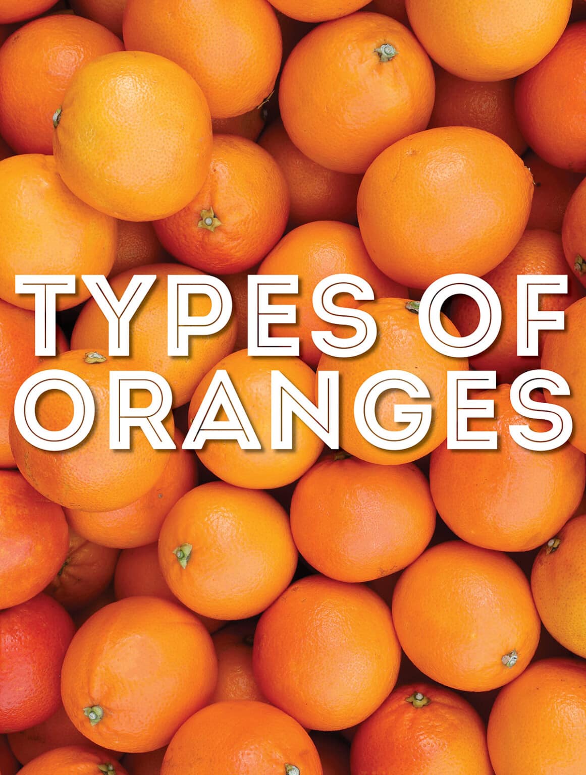 Orange Serving Name At Corina Adams Blog