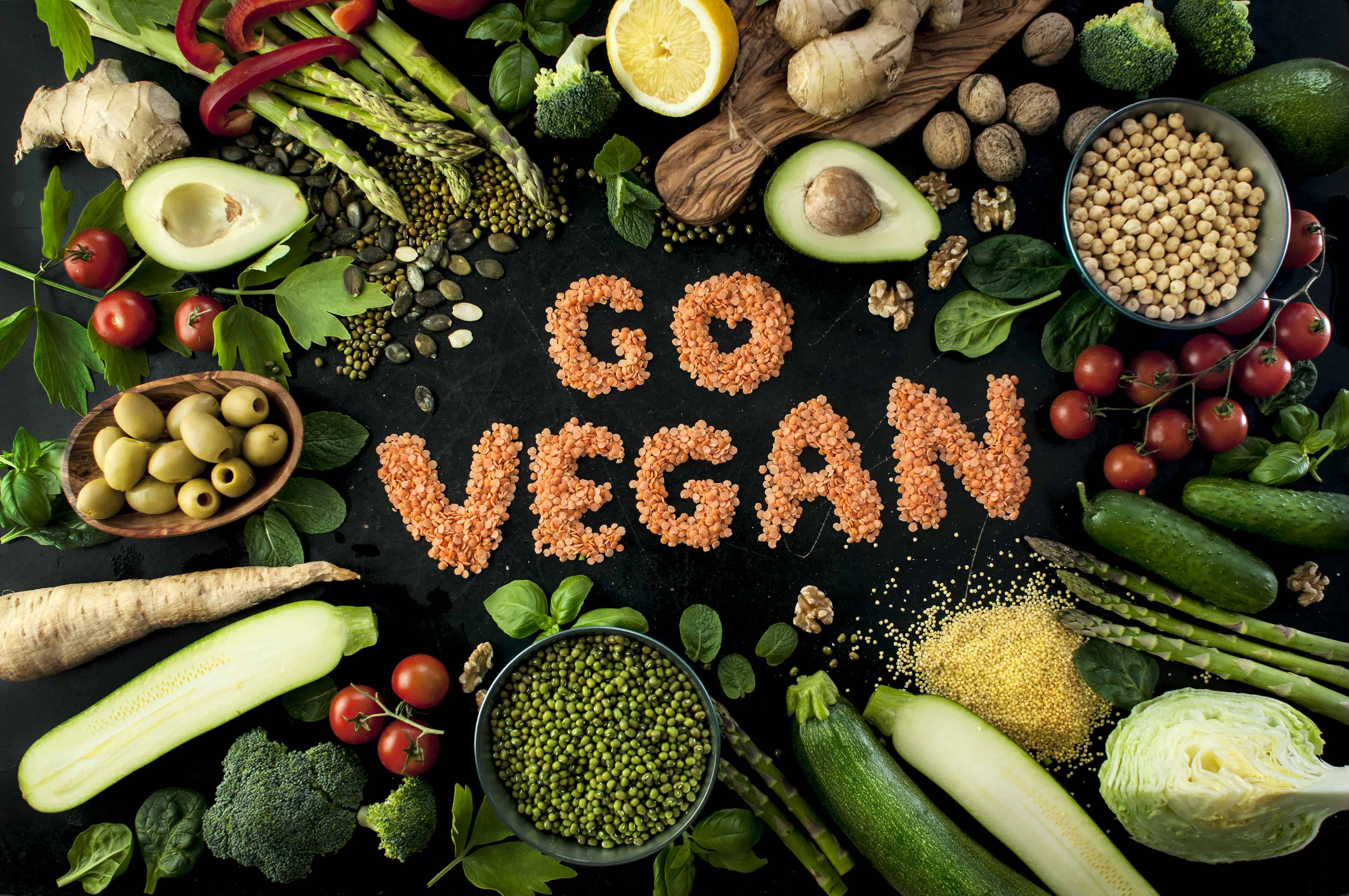 Quick Start Guide To Vegan Nutrition - Living Vegan