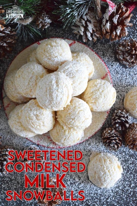 Sweetened Condensed Milk Recipes Cookies| Besto Blog
