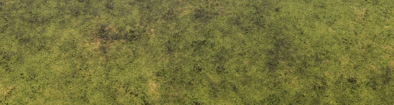 High-Quality Seamless Grass Textures for Design Projects - LotPixel