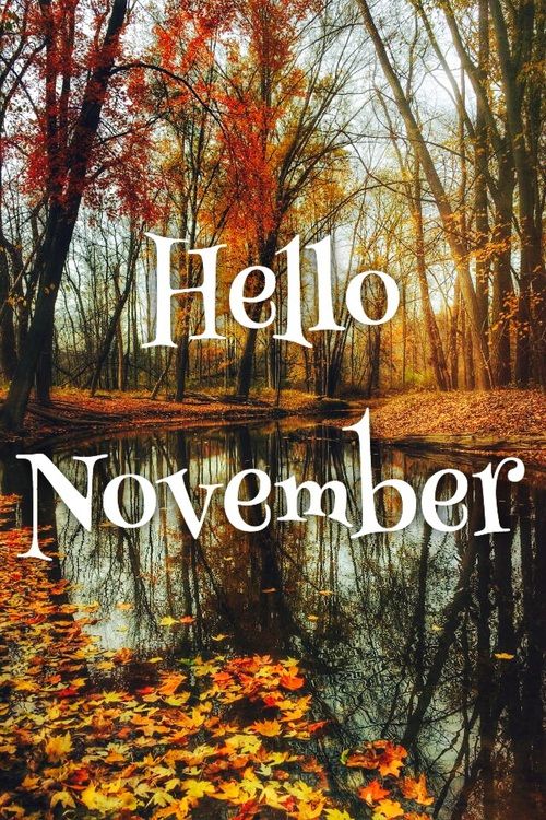 Hello November Pictures, Photos, And Images For Facebook, Tumblr, Pinterest, And Twitter