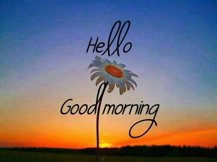 Hello Good Morning Pictures, Photos, and Images for Facebook, Tumblr, Pinterest, and Twitter