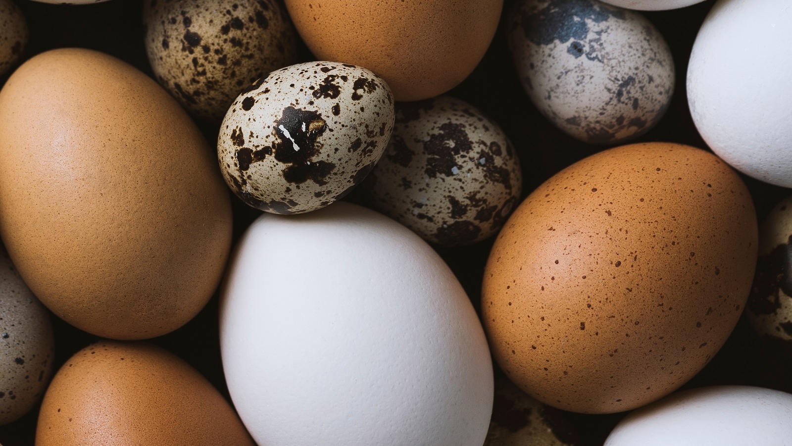 14 Different Types Of Eggs And How To Cook With Them, 55% OFF