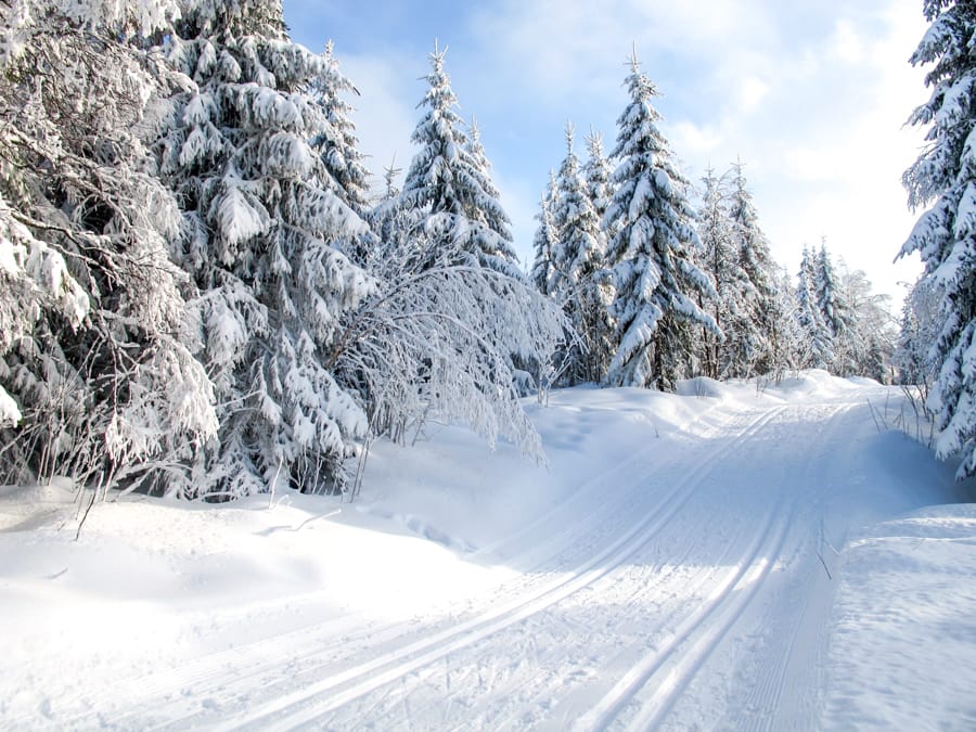 22 Magical (and Cozy!) Things to Do in Oslo in Winter