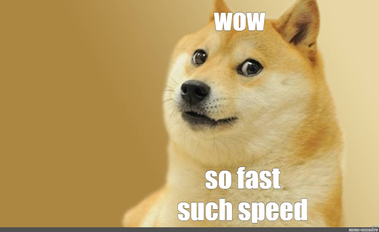 Meme: &quot;wow So Fast Such Speed&quot; - All Templates - Meme-arsenal.com