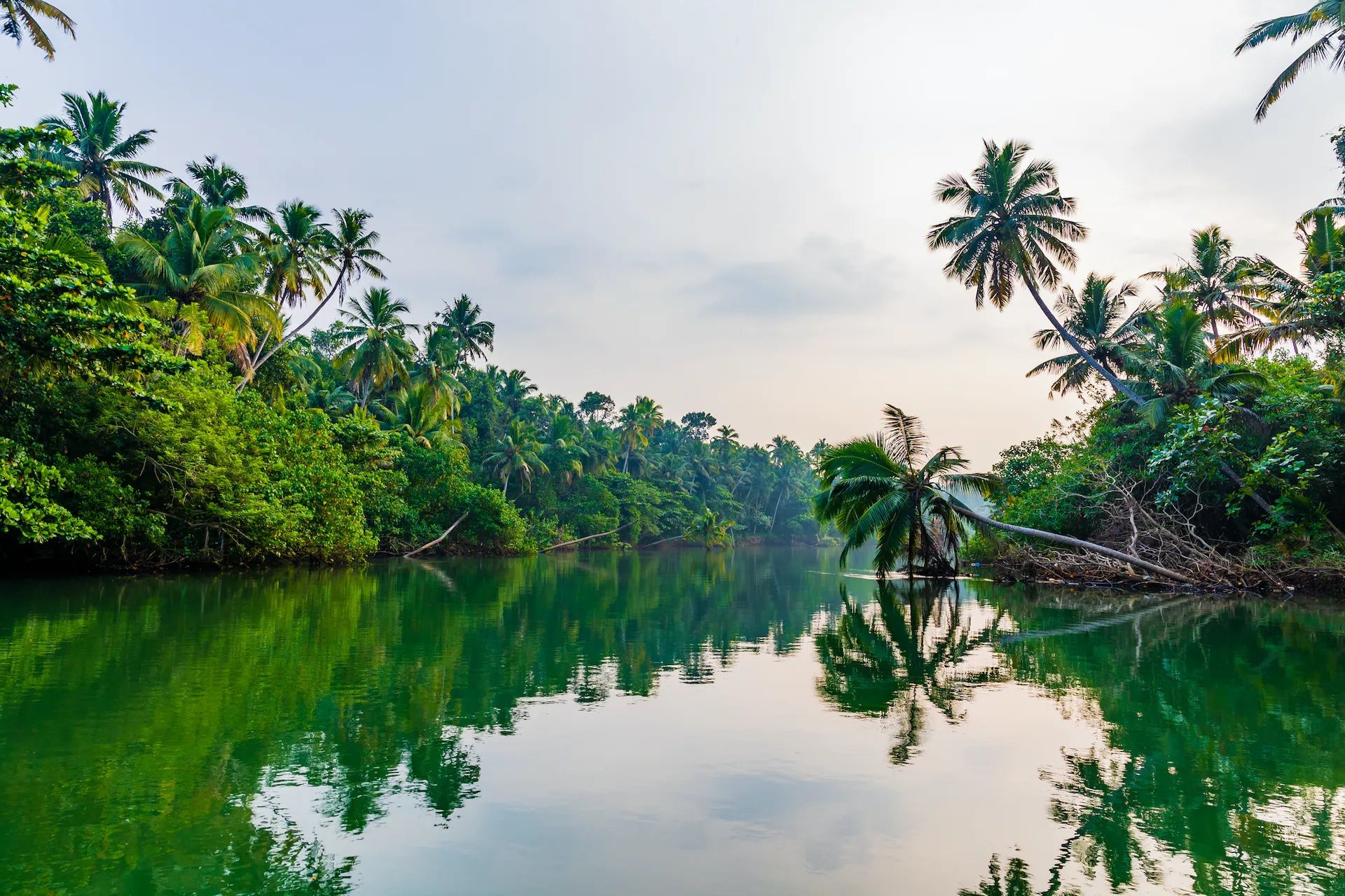 An Environmentally Friendly Guide To Kerala&#39;s Backwaters