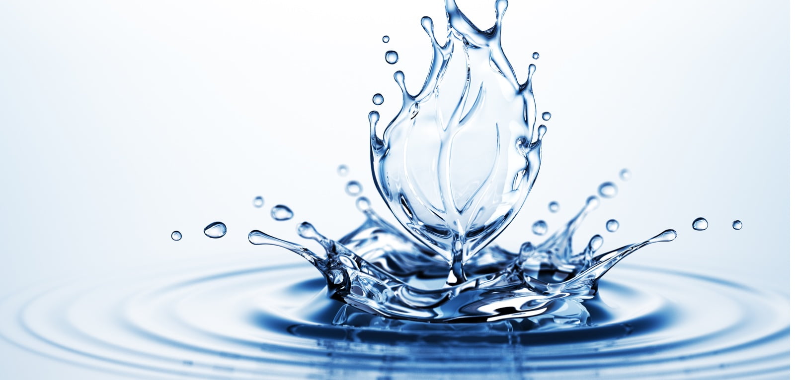 Why Should I Save Water And How? - B**p How To Save Water