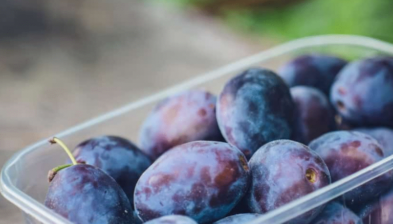 Prune Vs Plum: What&#39;s The Difference? - Oh Snap! Cupcakes
