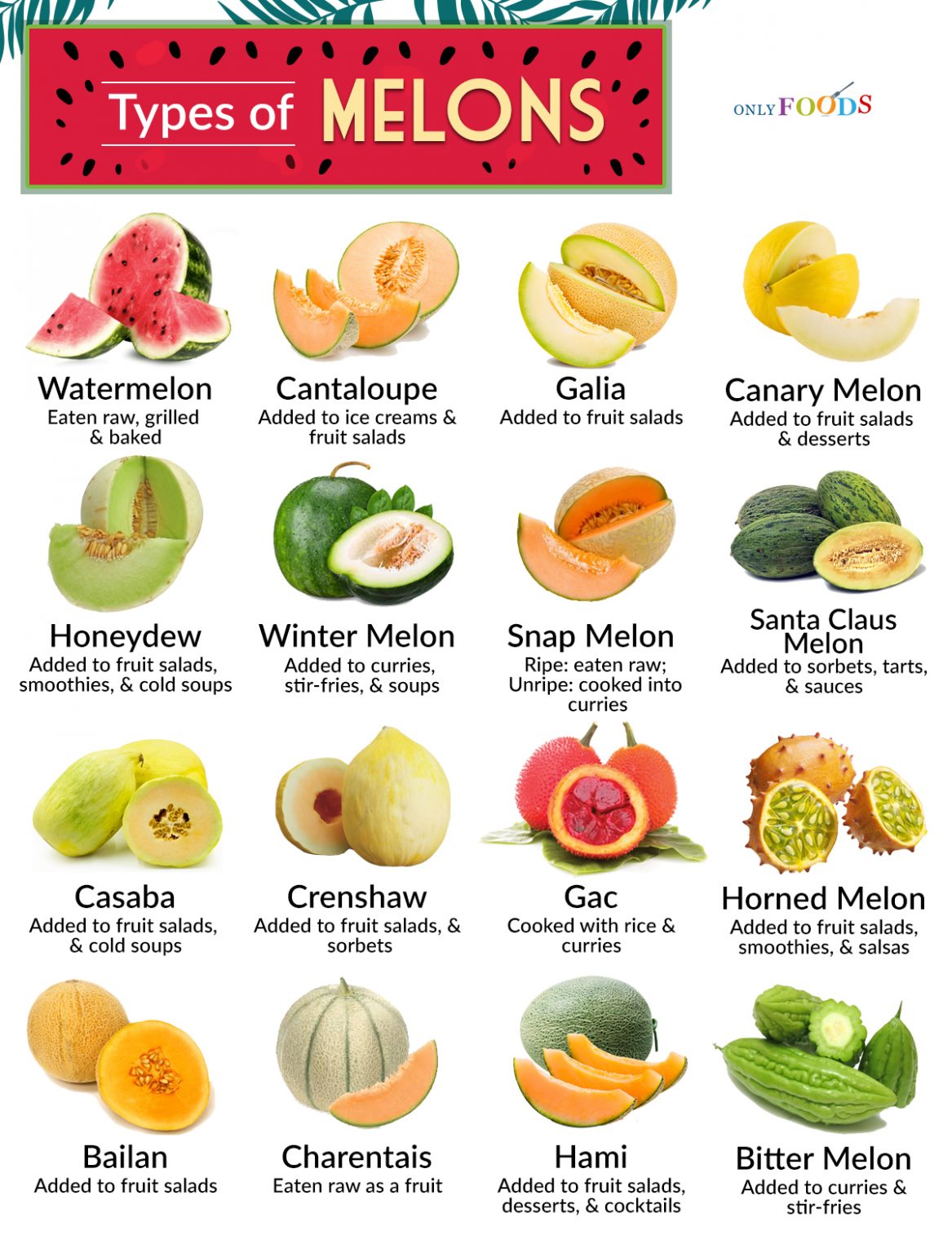 14 Different Types of Pears With Pictures - Only Foods