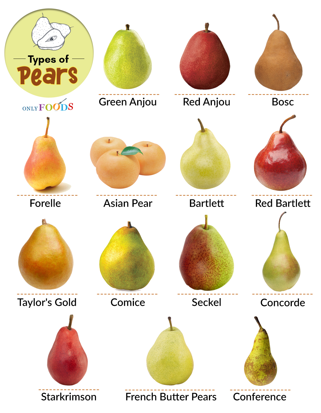 14 Different Types Of Pears With Pictures - Only Foods