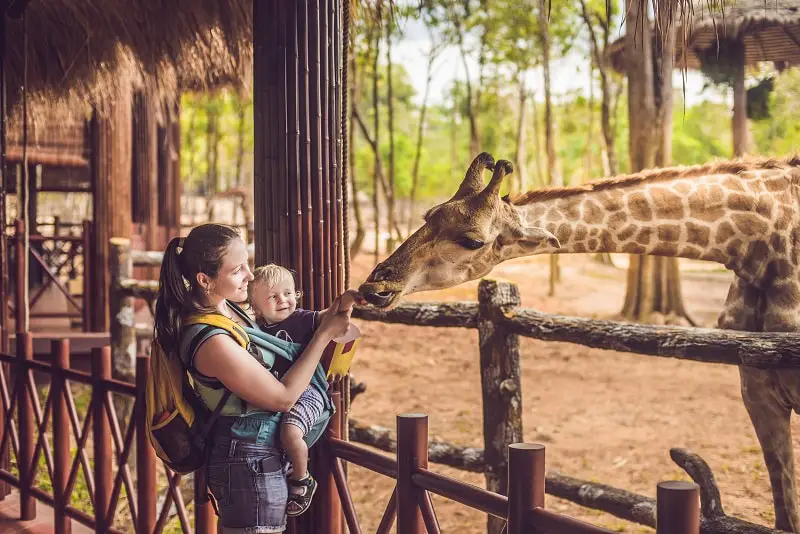 What Can You Do With A Zoology Degree