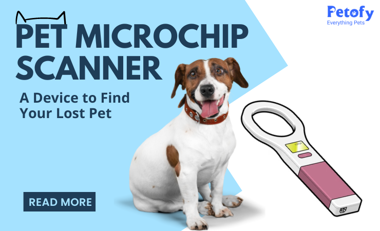 The Importance of Microchipping Your Pet - Pashudhan Praharee | Pet Care Blog