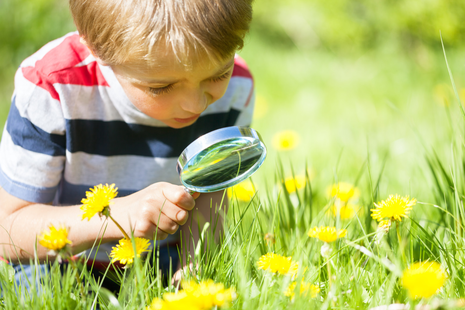 Child Discovering