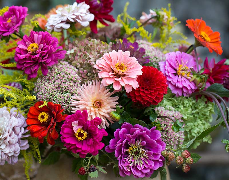 How to Start a Flower Garden
