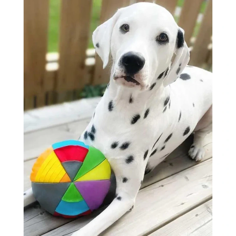 Hide N&#39; Seek Disk Dog Toy - Pets Lover Hub| One-Stop Shopping For Pet Supplies