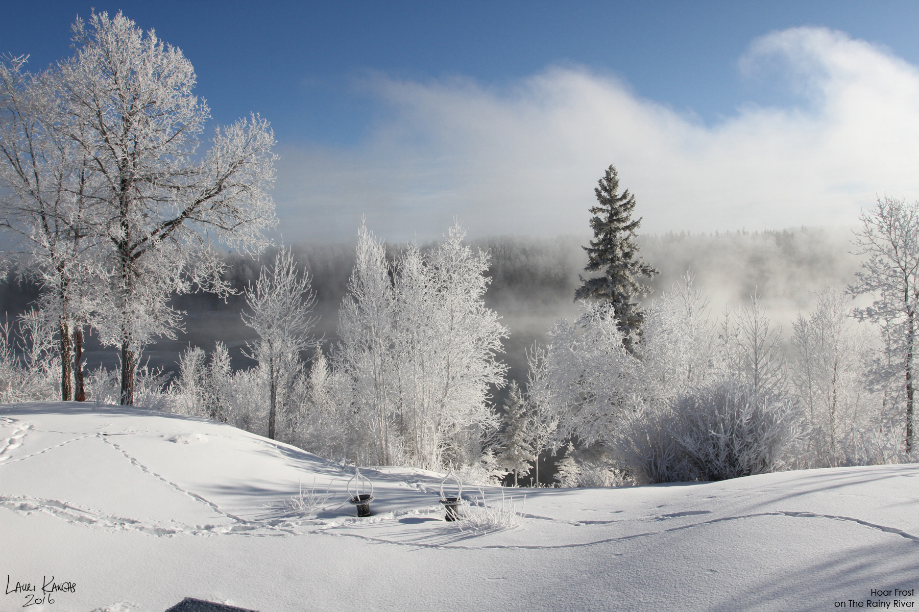 Images of Winter