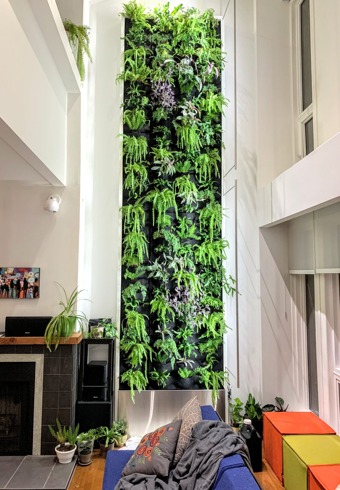 How to Use Plants In Interior Design: Time-Saving Tips & Recent Design Trends Jay Scotts Collection