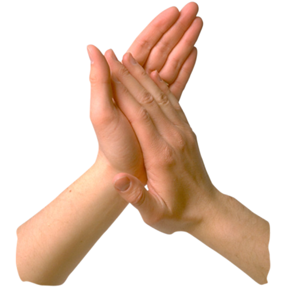 List 105+ Pictures Hand In Hand Or Hand And Hand Superb