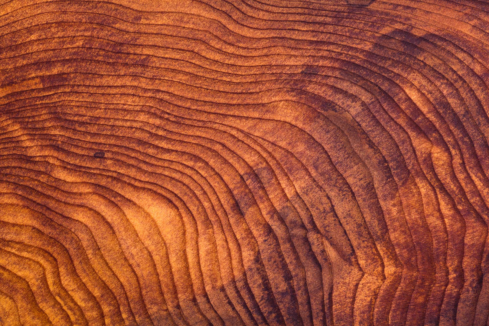 Close Up of Redwood Burl Wood Grain Texture - Public Policy Institute of California