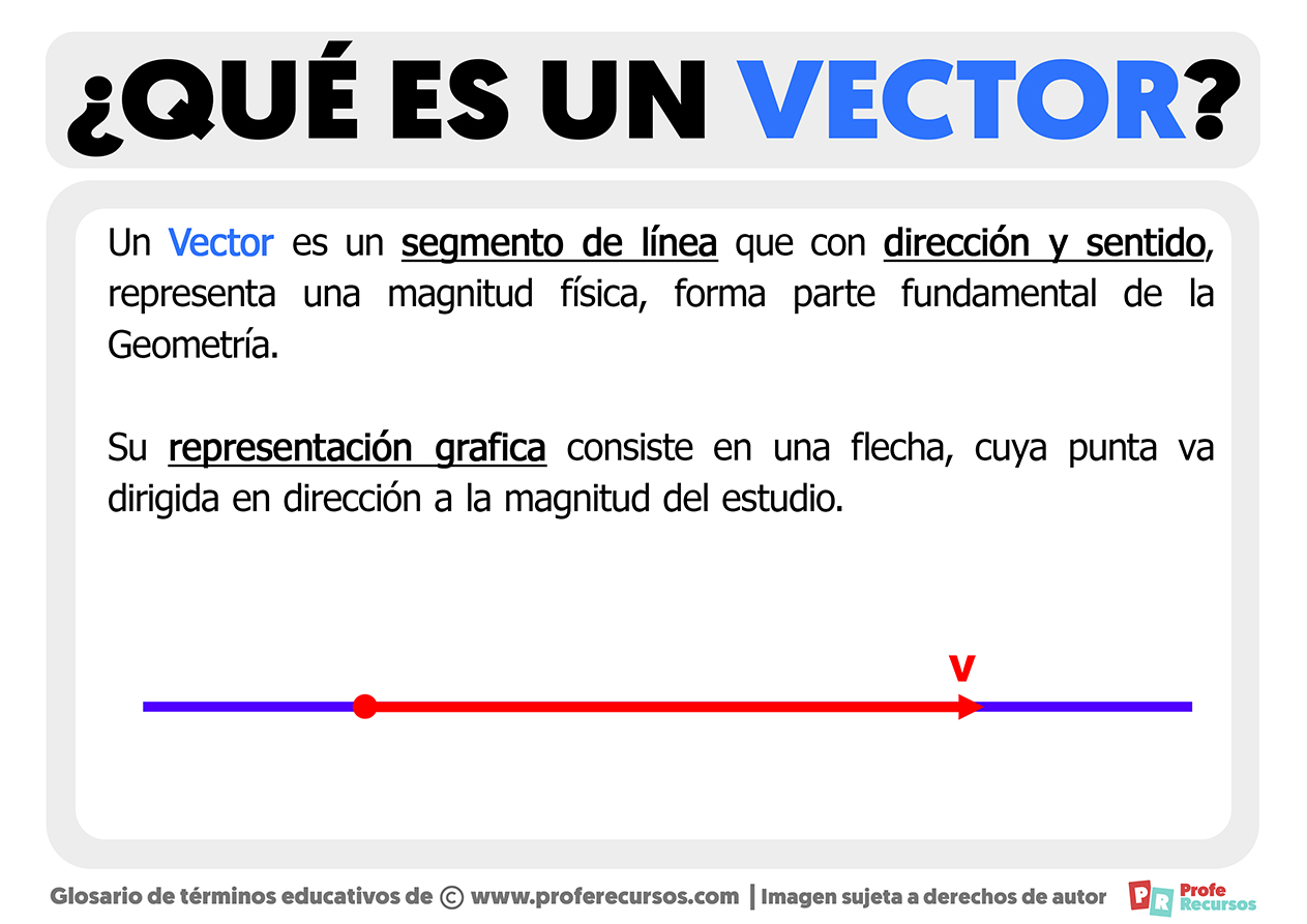 Qué Es Un Vector | Definición De Vector