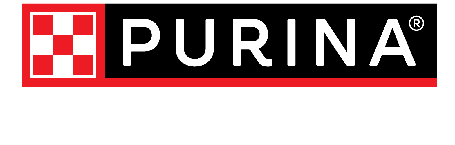 What To Know Before Getting A Second Cat| Purina UK