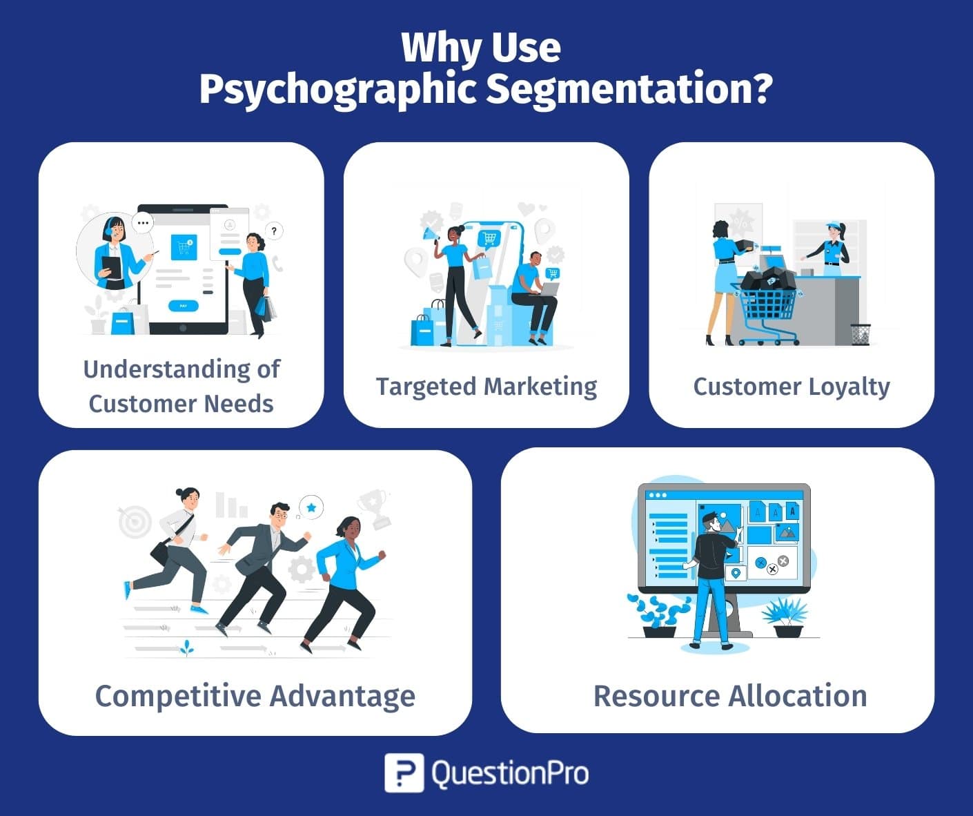 Psychographic Segmentation: Definition, Variables & Examples