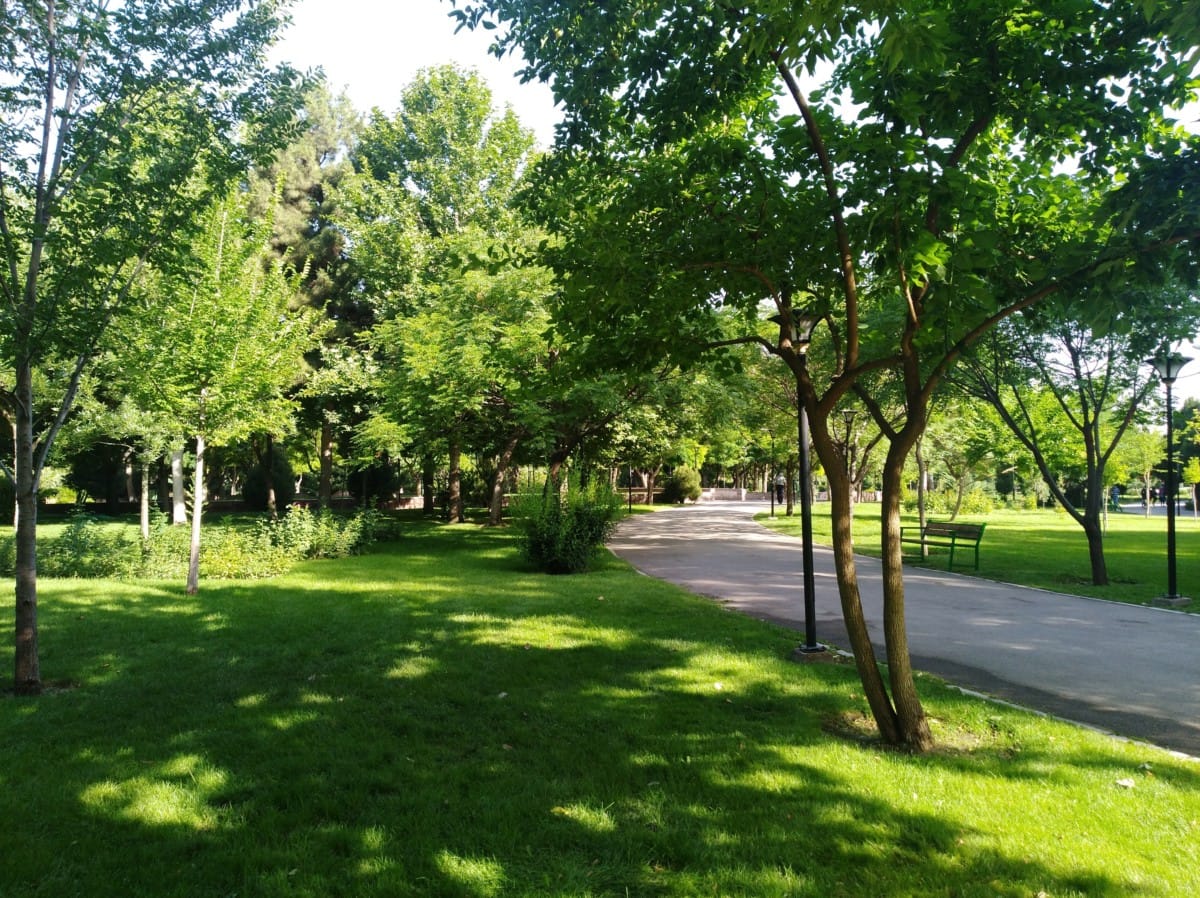 9 Popular Parks In San Marcos, CA That Locals Love| Redfin
