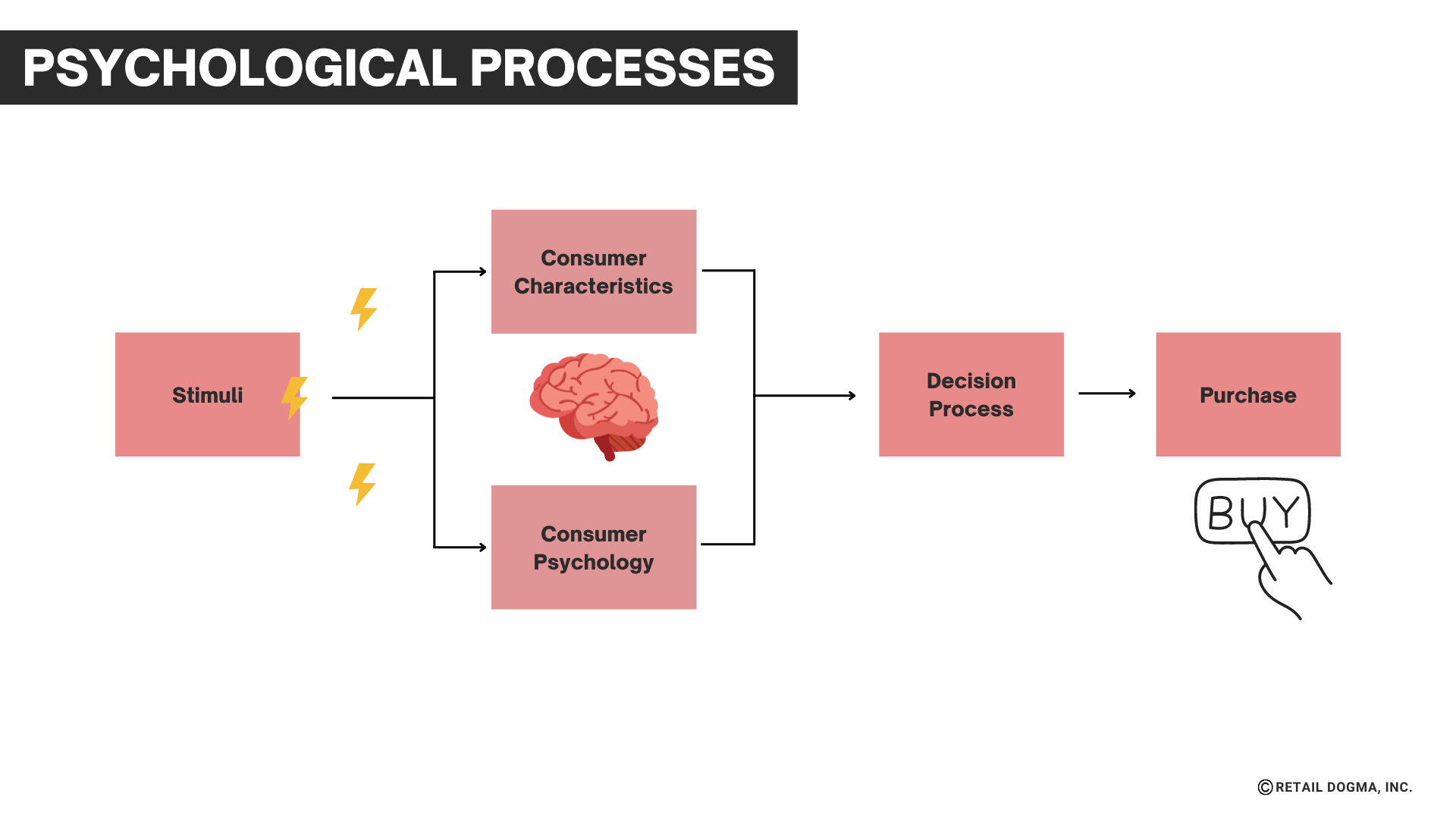 Consumer Behavior: Definition, Importance & Examples