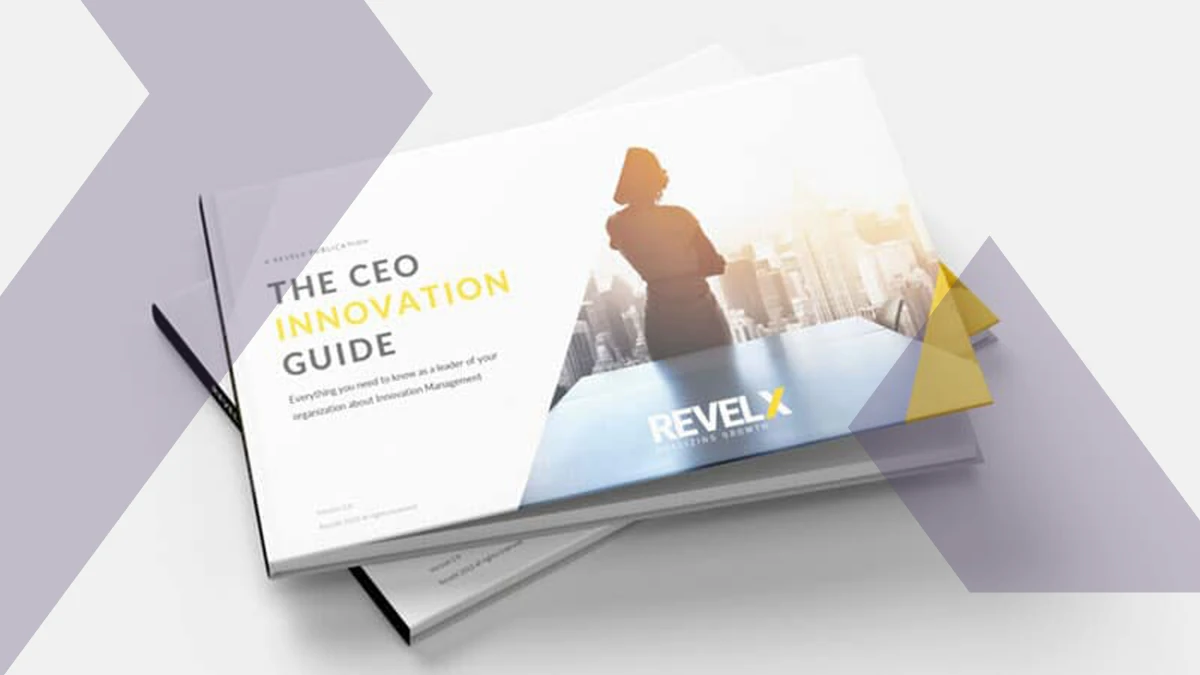 CEO Innovation Guide