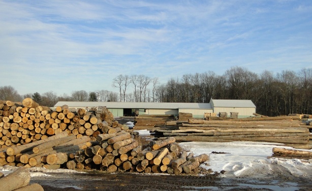 Logs & Lumber | Riephoff Sawmill