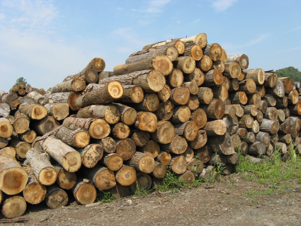 Logs & Lumber | Riephoff Sawmill