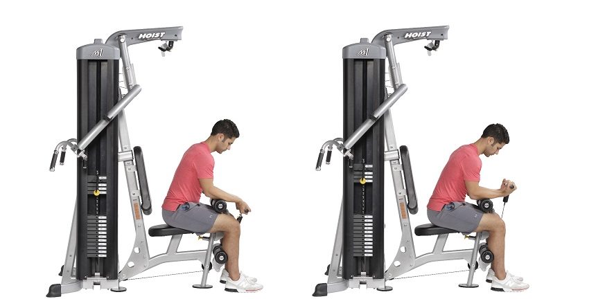 Tabla De Ejercicios Para Musculación En Casa