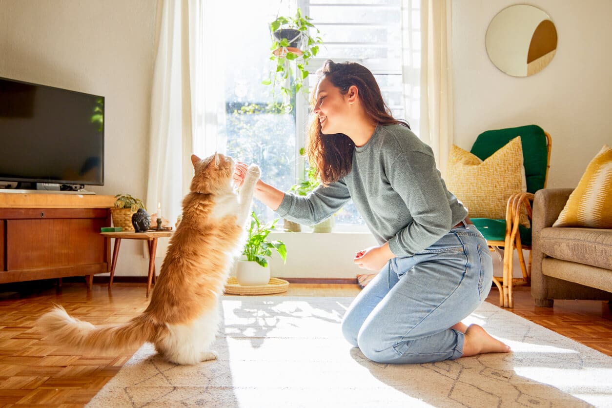 How Cats Can Help With Depression, Stress, Anxiety, and Mental Health