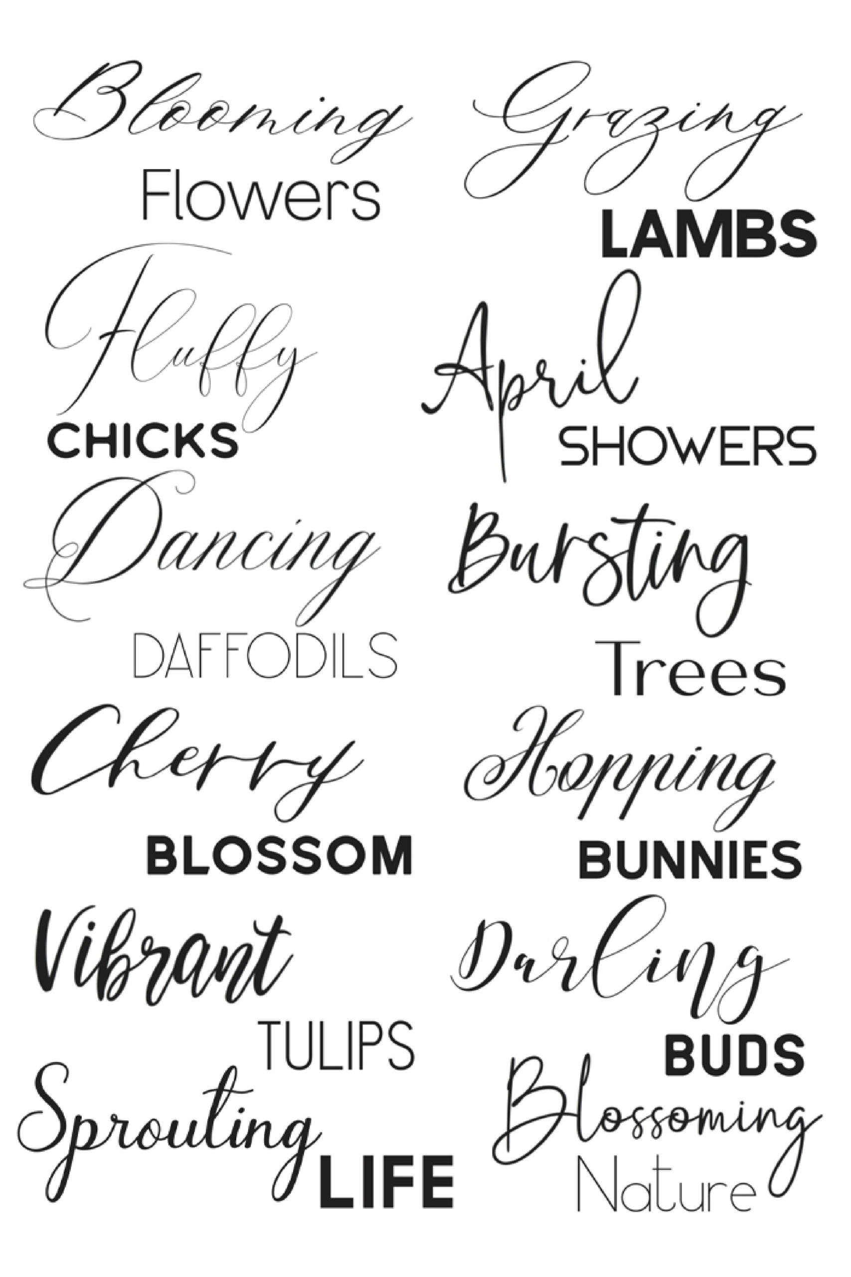 12 Best Calligraphy Font Pairings - Sarah Titus