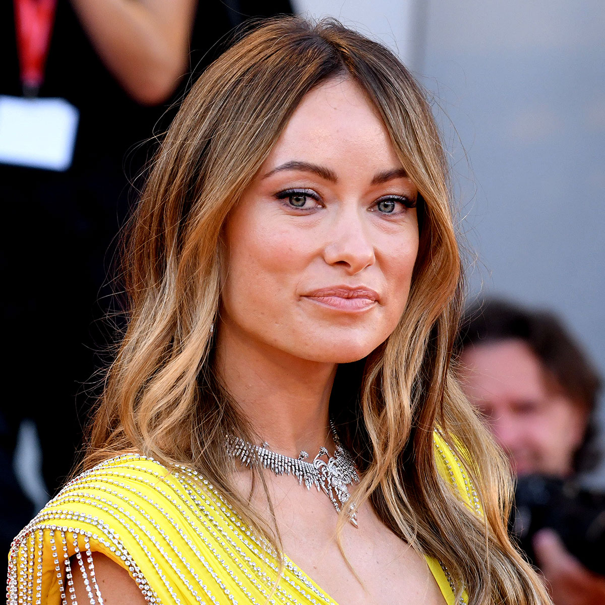 Olivia Wilde Bra